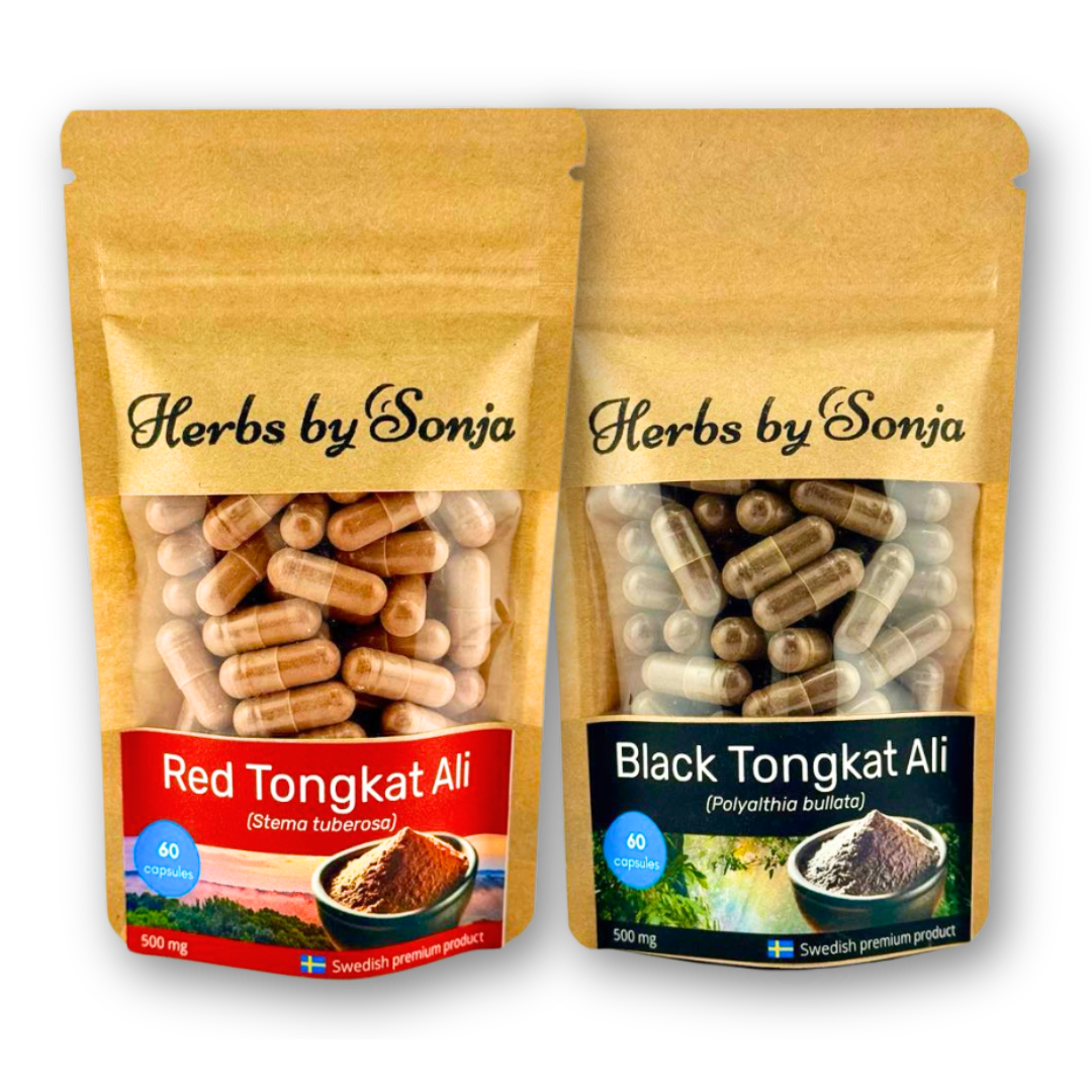 Tongkat Duo